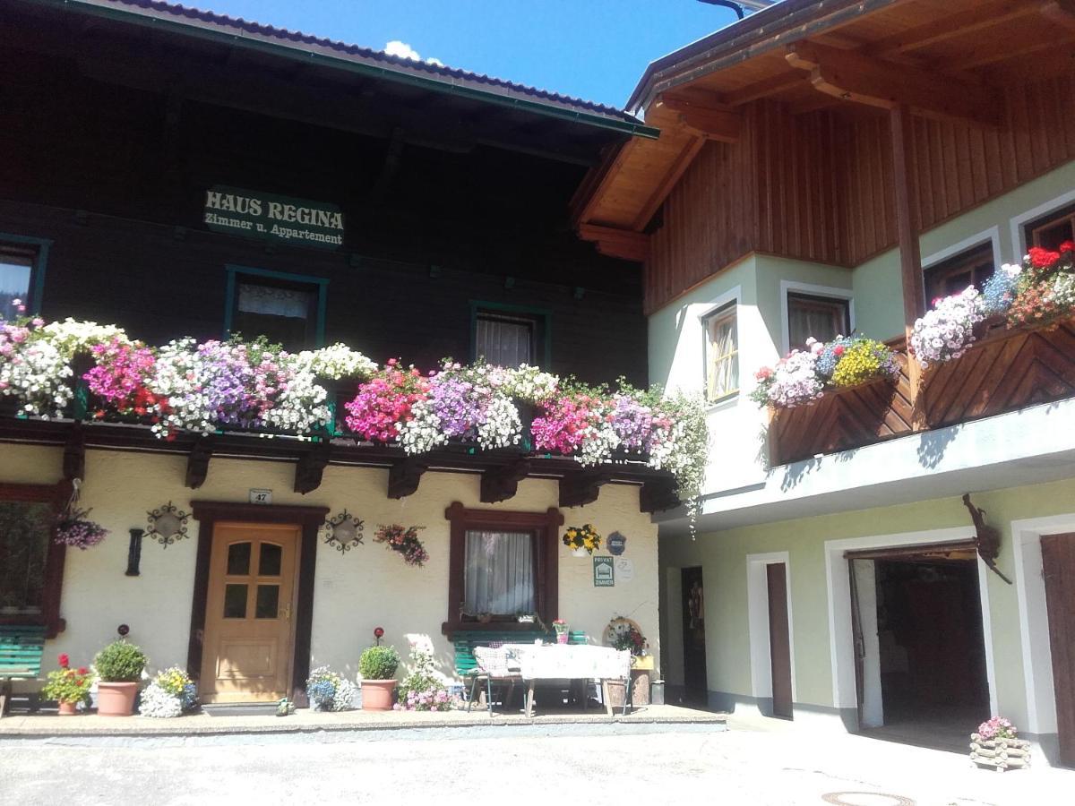 Ferienhaus Regina Werfenweng Exterior photo
